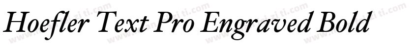 Hoefler Text Pro Engraved Bold字体转换